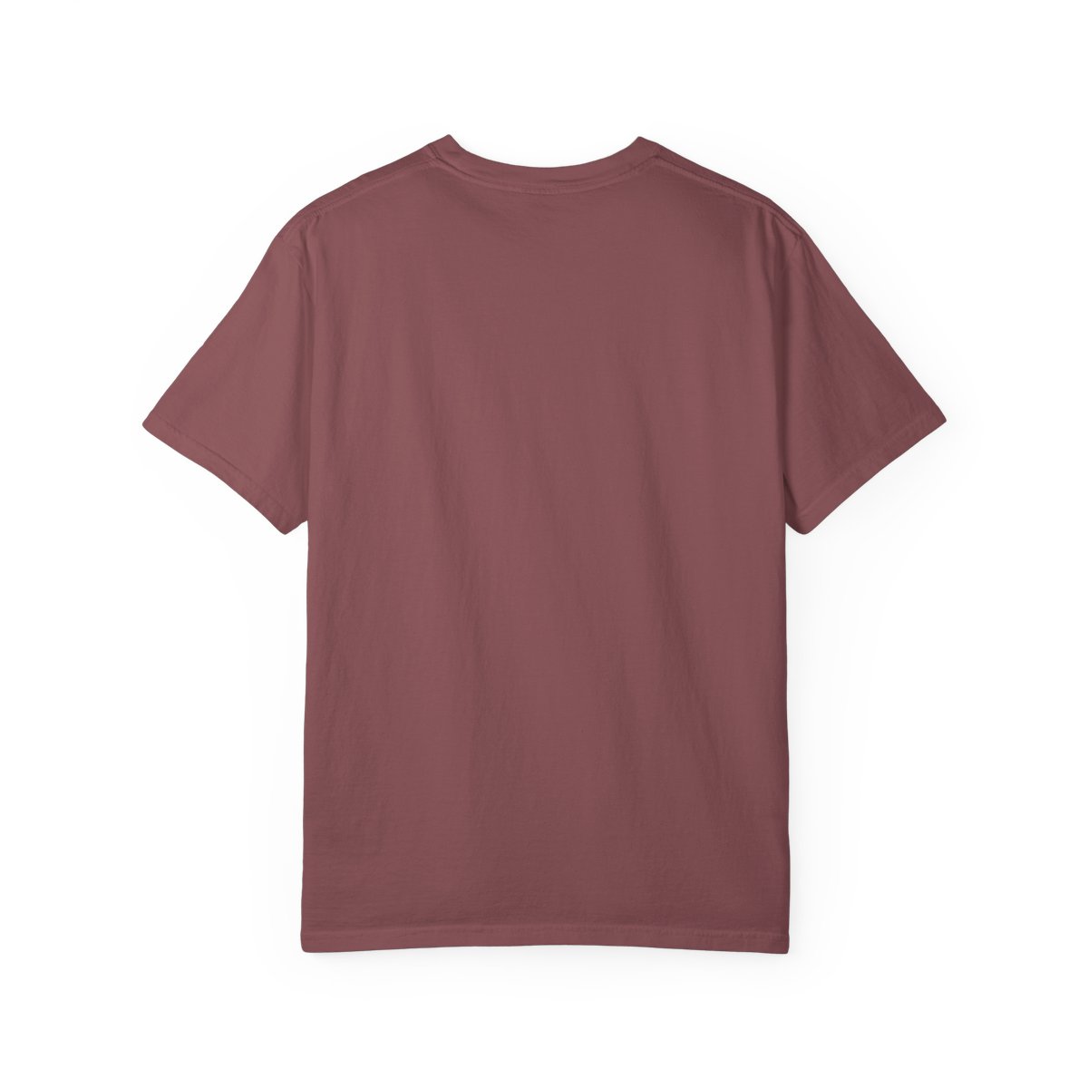 Ryan Trahan Penny Challenge Adventure T-Shirt - alternate angle 1, merchandise
