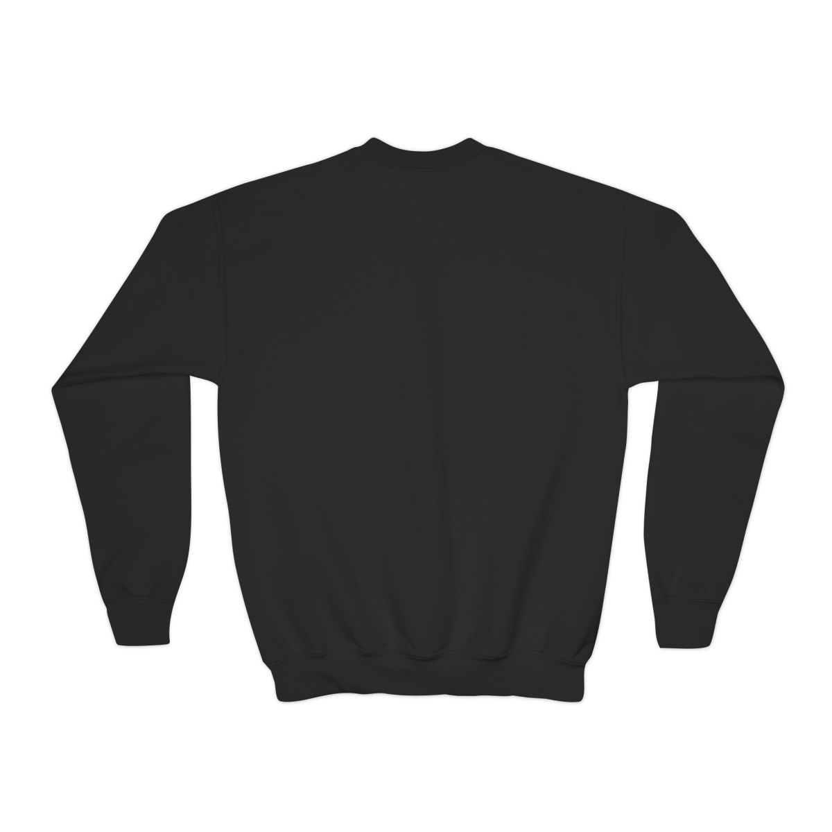 Ryan Trahan Crewneck Kids Sweatshirt - alternate angle 1, merchandise